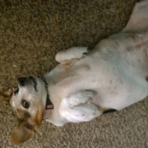 Meet your Posher, Derek